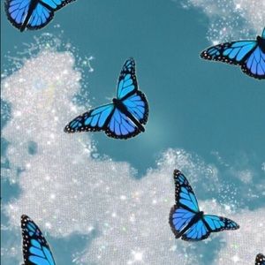 Meet your Posher, Kolbi